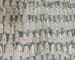 micropipette manufacturer, micropipette supplier, micropipette exporter, micropipette manufacturer in India, micropipette supplier in India, laboratory pipette manufacturer, adjustable micropipette, fixed volume micropipette, single channel micropipette, multichannel micropipette, air displacement pipette, buy micropipette online, best micropipette price, laboratory equipment supplier, scientific instruments supplier, liquid handling products, high precision micropipette, micropipette exporter worldwide, OEM micropipette manufacturer, bulk micropipette supplier, laboratory liquid handling system, pipette supplier worldwide, research laboratory micropipette, pharmaceutical lab micropipette, biotechnology micropipette, clinical diagnostic pipette, laboratory instruments exporter, affordable micropipette price, trusted micropipette brand, lab equipment manufacturer, scientific lab equipment supplier, micropipette dealer in India, precision pipette supplier, industrial laboratory pipette, adjustable laboratory pipette, manual micropipette India, high accuracy micropipette, pipette tips supplier, laboratory tools supplie